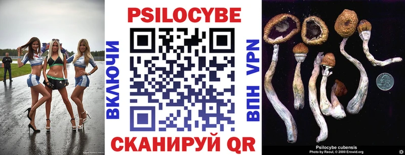 Псилоцибиновые грибы мицелий Цимлянск